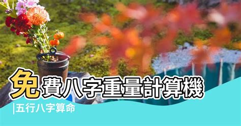 八字重量分析|免費八字輕重計算機、標準對照表查詢、意義解說。